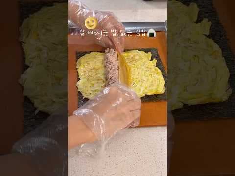 살 빠지는 밥 없는 김밥