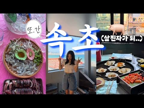 속초 오징어난전