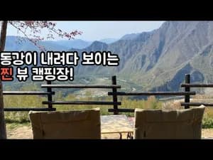 가정식 최자로드 알탕