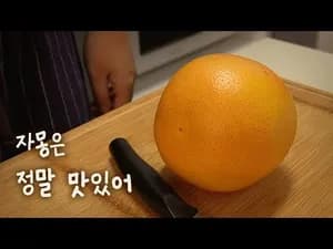 자몽청 만들기