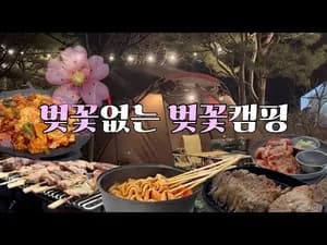 캠핑 닭갈비