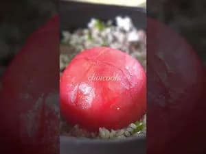 토마토솥밥 레시피
