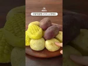 구황작물빵 (감자빵, 치즈감자빵, 고구마빵, 옥수수빵)