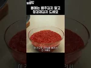 만능 겉절이 양념장으로 만드는 청경채 김치