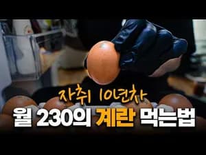 자취생을 위한 7가지 초간단 계란 요리