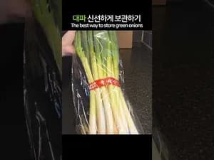 대파 신선하게 보관하는 법