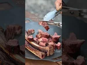 그릴 캠핑 꼬치구이