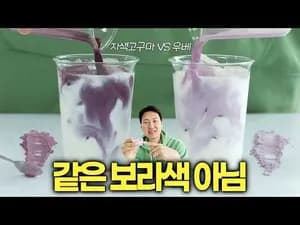 말차 크림 우베 라떼