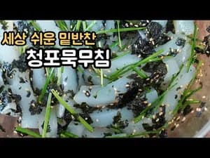간단한 무침 세상 간단한 여름 밑반찬 청포묵무침