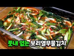 보리열무물김치